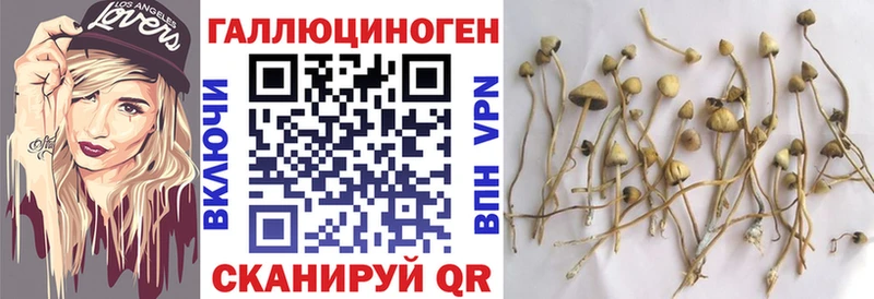 Галлюциногенные грибы GOLDEN TEACHER  сайты даркнета наркотические препараты  Нариманов 
