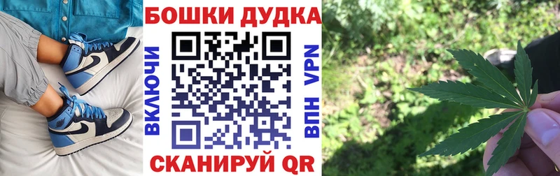 цена   Нариманов  omg ССЫЛКА  Конопля сатива 